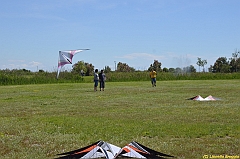 Venice kite festival_0117